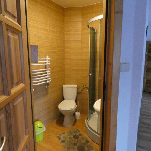 a small bathroom with a toilet and a sink at Pokoje u Waligóry Jaworki in Jaworki