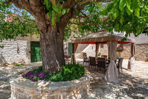 Κήπος έξω από το MY DALMATIA - Authentic villa Zvonko with private swimming pool