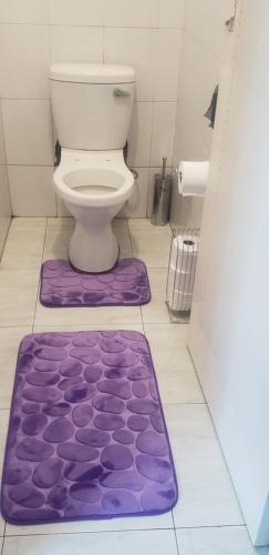 a purple toilet in a bathroom with a purple rug at Alena's Guesthouse in Durban