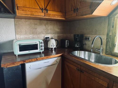 a kitchen with a sink and a microwave on a counter at Ruca Apartment in Tupungato