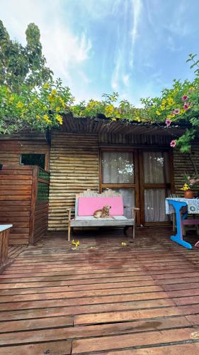 a cat laying on a bench on a patio at Laguna Rosa Glamping in Coveñas