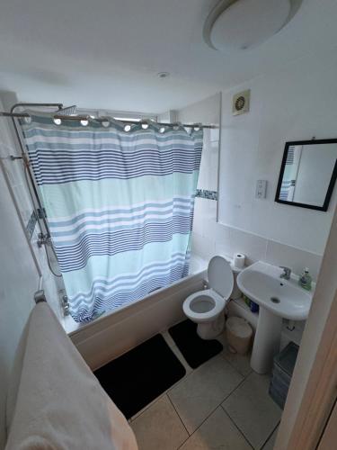 y baño con cortina de ducha, aseo y lavamanos. en Archway Court, en Londres