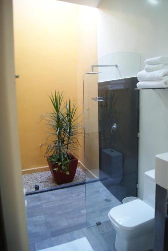 a bathroom with a toilet and a plant at Ochenta Y Dos Bed & Breakfast & Spa in Mérida