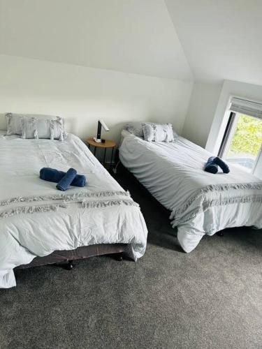 two beds sitting next to each other in a bedroom at The perfect Christchurch Escape in Christchurch