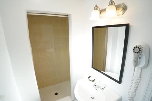 a bathroom with a sink and a mirror at Falcon Inn in Niagara Falls