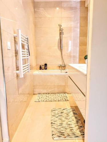 La salle de bains est pourvue d'une douche, d'une baignoire et d'un tapis. dans l'établissement La chambre des petits voyageurs, à Sennecey-lès-Dijon