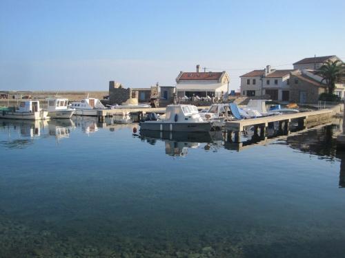 Naturlandskabet i nærheden af lejligheden