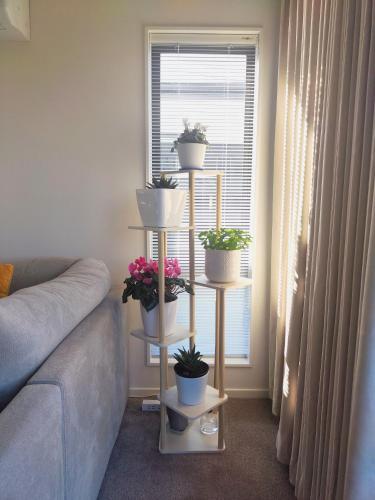 a living room with a shelf with potted plants on it at Hideaway in Green Hill Park in Hamilton