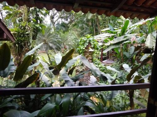 a garden with lots of green plants and trees at Casa de campo na praia in São Sebastião