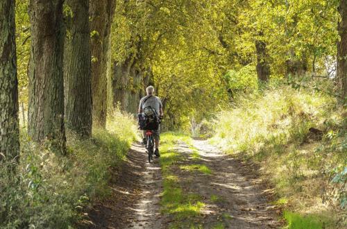 a man riding a bike down a dirt road at Tao-Suite mit Seeblick, Balkonterrasse & Sauna in Krakow am See