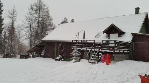 a snow covered cabin with a snow covered roof at Apartament Buczyna in Brenna