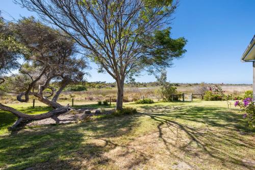 a tree in the middle of a yard at Pelican Point in Saint Leonards