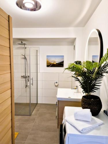 a bathroom with a shower and a sink and a plant at Winterberg Appartement 21132 in Winterberg