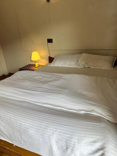 Ein Bett oder Betten in einem Zimmer der Unterkunft Meshrom Guest House and Restaurant