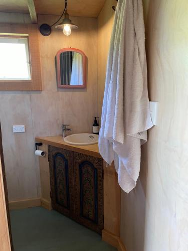 ein Badezimmer mit einem Waschbecken und einem Handtuch an der Wand in der Unterkunft Rustic country Cottage in Haumoana