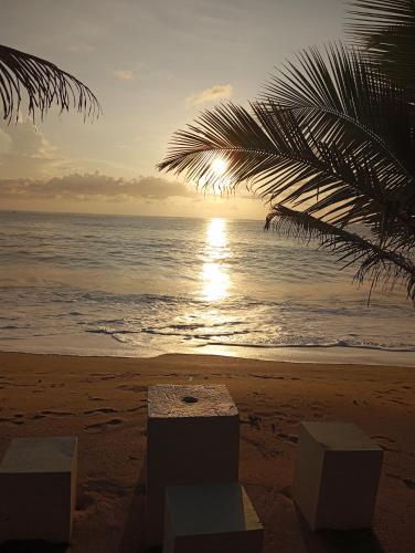 a sunset on the beach with a palm tree at Dishari Tangalle in Tangalle