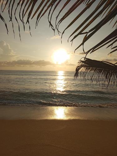 a sunset on a beach with the ocean at Dishari Tangalle in Tangalle
