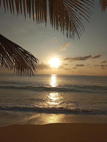 a sunset on the beach with the sun setting at Dishari Tangalle in Tangalle