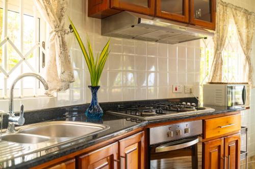 Kuchyň nebo kuchyňský kout v ubytování Au Cap Self Catering