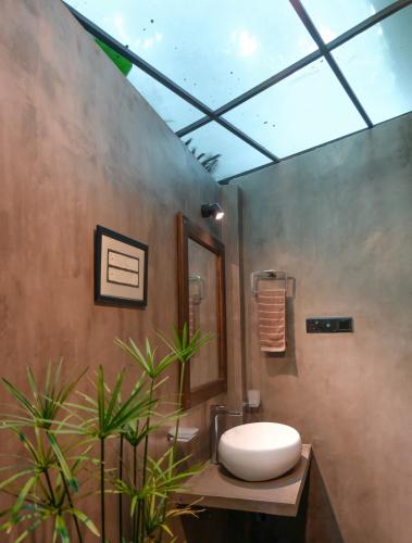 a bathroom with a white sink and a plant at K O C O O N Villa Madiha in Walgama South