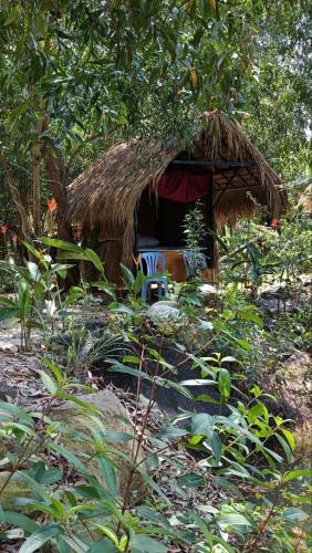 a small hut with a thatch roof and a chair at Kampot Camping - Eco Retreat in Kampot