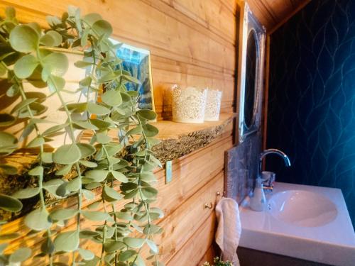 Gallery image of Apartment Zwei Welten in Obervellach