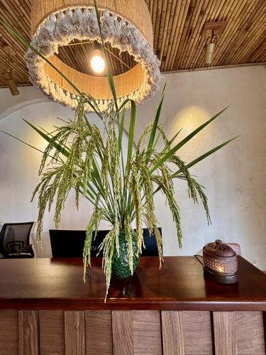 Φωτογραφία από το άλμπουμ του Truong Giang Boutique Hotel Moc Chau σε Moc Chau