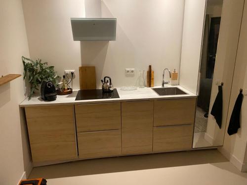 Η κουζίνα ή μικρή κουζίνα στο Garden Guest house & Sauna