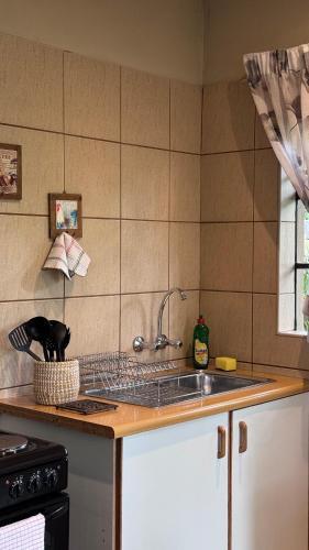 a kitchen with a sink and a cat sitting on a counter at Berghaven Cottages in Winterton