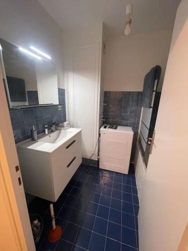 une petite salle de bain avec un lavabo et des toilettes dans l'établissement Appartement spacieux, à LʼArbresle