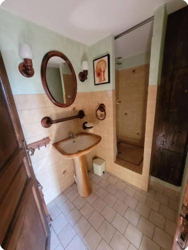 une salle de bain avec un lavabo, un miroir et une douche dans l'établissement Charmante maison dans le Luberon, à Vitrolles-en-Luberon