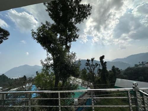 a view of a tree on a hill at Hotel Goludev Valley View in Nainital