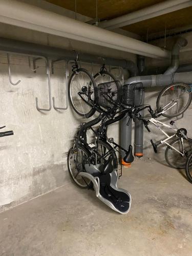 a couple of bikes are hanging on a wall at Sweet Break Annecy in Annecy