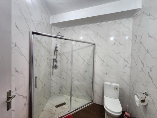 a bathroom with a glass shower and a toilet at Geo Palace Kolkheti National Park in Poti
