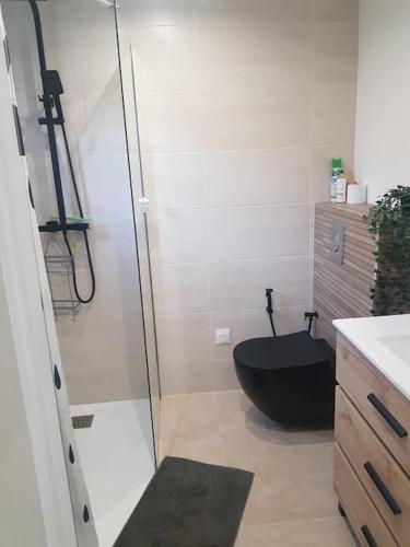La salle de bains est pourvue d'une douche et de toilettes noires. dans l'établissement Logement indépendant à Fréjus, à Fréjus