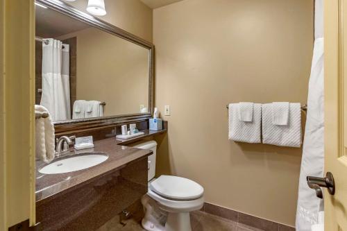 a bathroom with a toilet and a sink and a mirror at The Parlour Inn, an Ascend Collection Hotel in Stratford