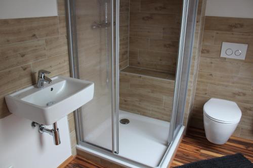 ein Bad mit einer Dusche, einem Waschbecken und einem WC in der Unterkunft Dachstudio Sternenblick in Bad Münstereifel