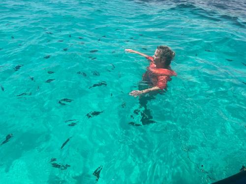 a person in the water with a group of fish at The View of Zanzibar in Michamvi