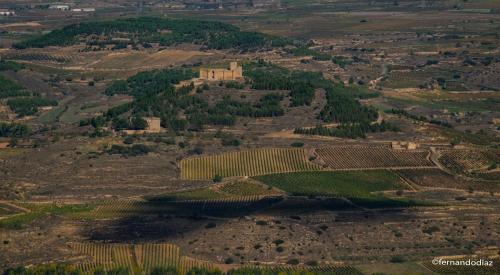 an aerial view of a vineyard and a castle on a hill at Santiago Tower Aire Ac casco antiguo By Apartamentos Logrono in Logroño