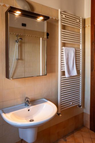 a bathroom with a sink and a mirror at Alba dei Grappoli in Spresiano