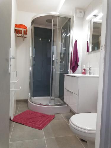 une salle de bain avec douche et toilettes dans l'établissement La Rabouillère, à Cormaranche-en-Bugey