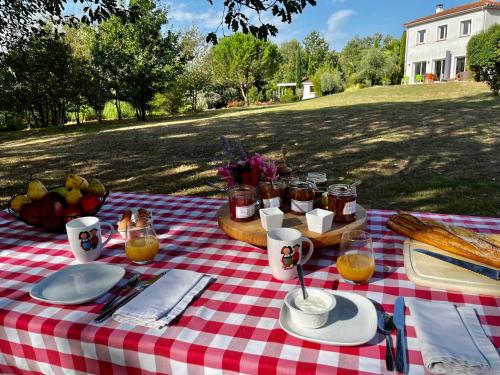 a picnic table with food on a red and white checked table cloth at Chambre indépendante au calme, petit-déjeuner inclus in Arthès