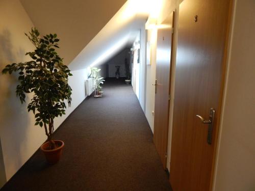 a hallway with a plant and a hallway with a door at Penzion U Kašných in Mníšek pod Brdy