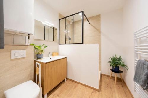 マコンにあるT2 cosy au cœur de Mâcon !の洗面台と鏡のあるバスルーム