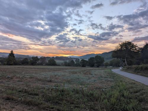 a road in a field with a sunset in the background at L'Aiguebelle in Céreste