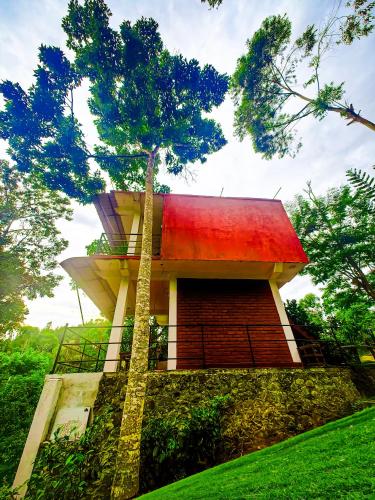 Taman di luar Ella Rock Glance