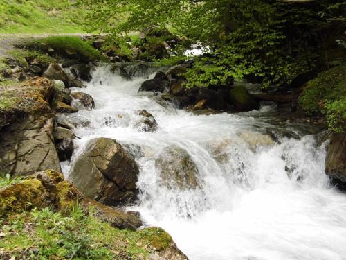 a stream of water rushing over rocks in a forest at Gite Auberge Les Cascades in La Mongie