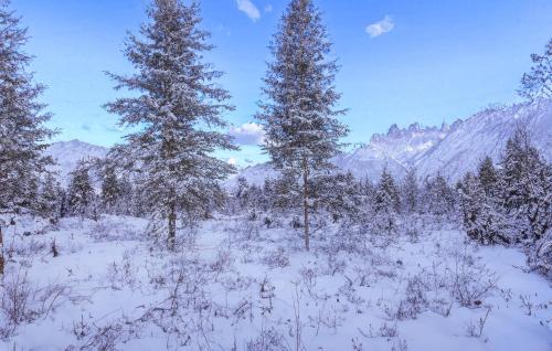 three trees in a snowy field with mountains in the background at Ferienhaus Jabel Ot Loppin in Loppin