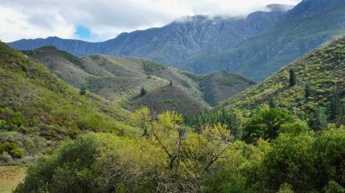 auliculiculiculiculiculiculiculiculiculiculiculiculiculiculic at Assegai Rest in Robertson