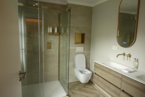 a bathroom with a shower and a toilet and a sink at Huisje Bommelstein in Joure